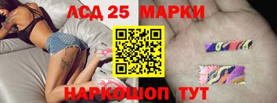 apvp Славгород