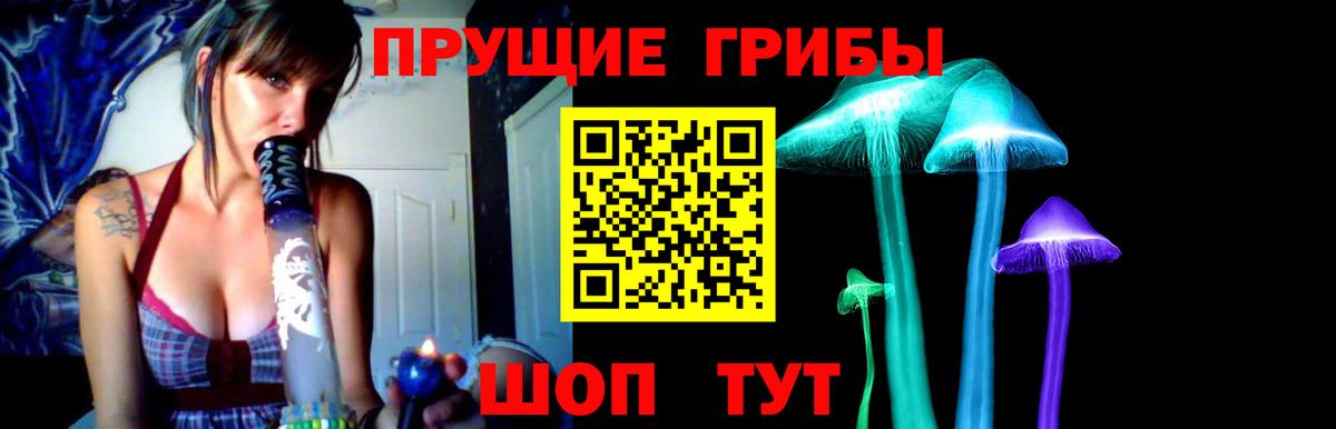 Галлюциногенные грибы мицелий  купить  цена  Вход с VPN  Прокопьевск  Псилоцибиновые грибы Magic Shrooms 
